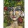 Amazon Girl  + €5.00 