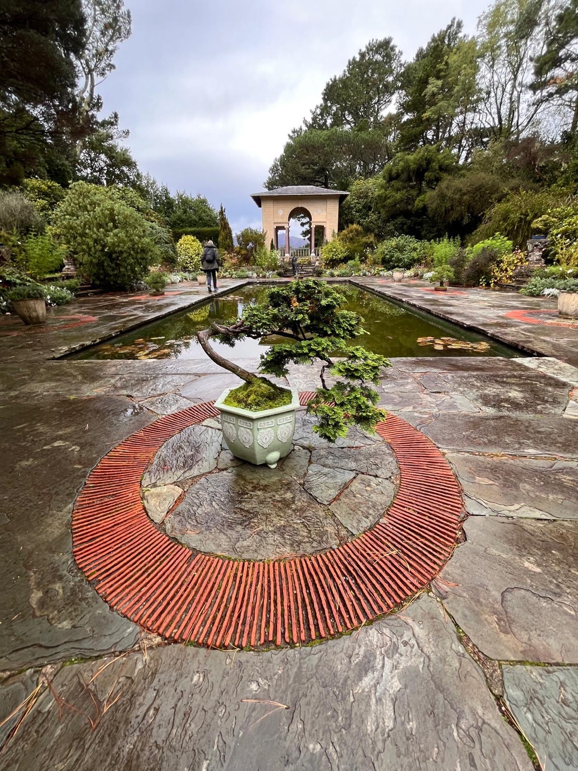 A small tree beside the pool and pavilion in the Italian Garden on Garnish Island