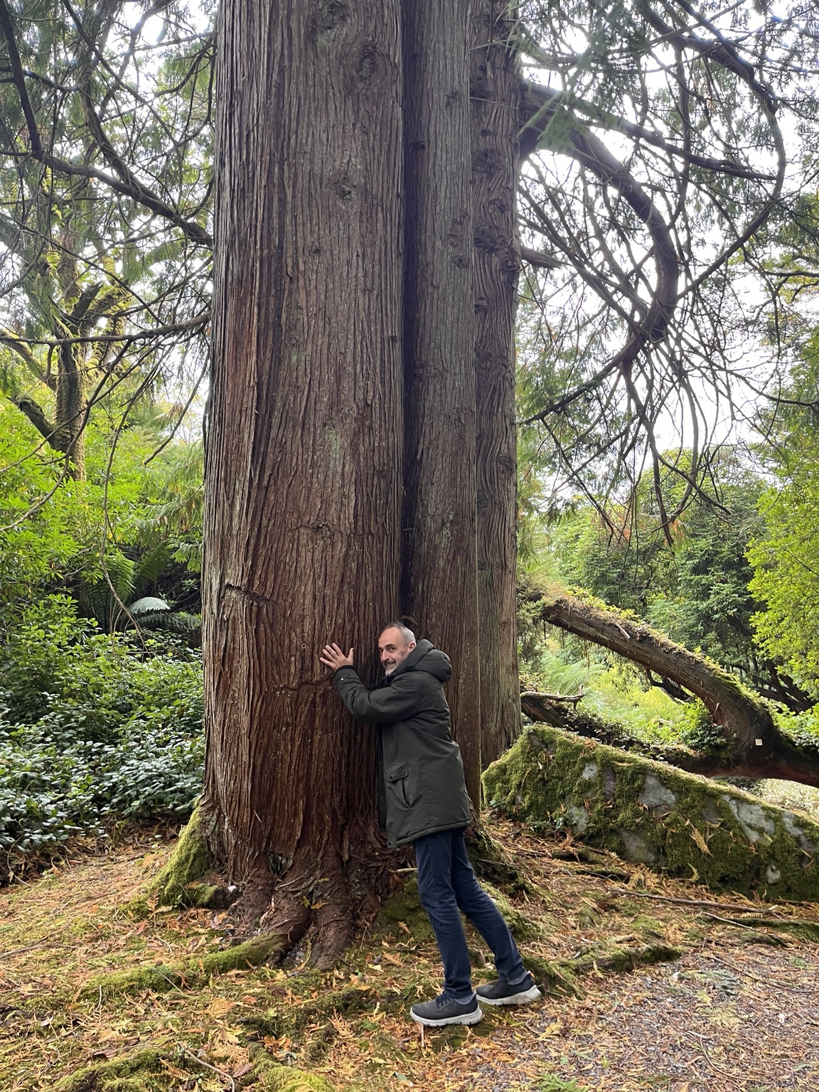Paul, finding a tree worth stopping for.